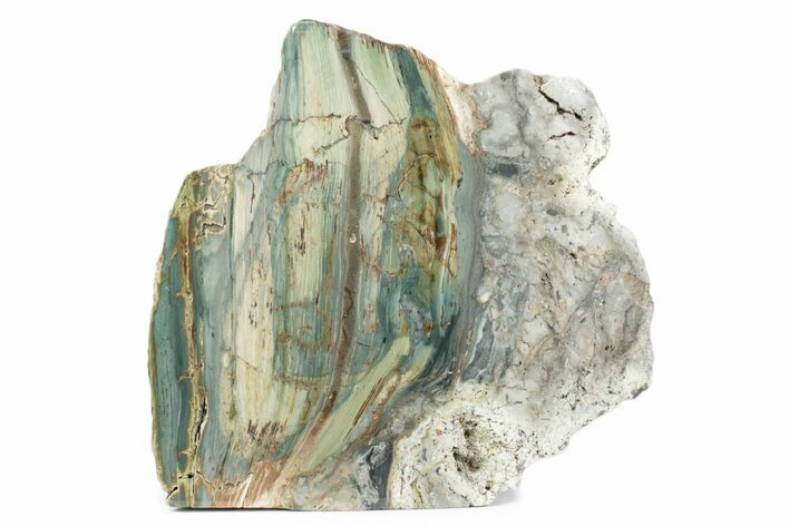 Freestanding Gary Green Jasper (Larsonite) Bog Wood - Oregon #377805
